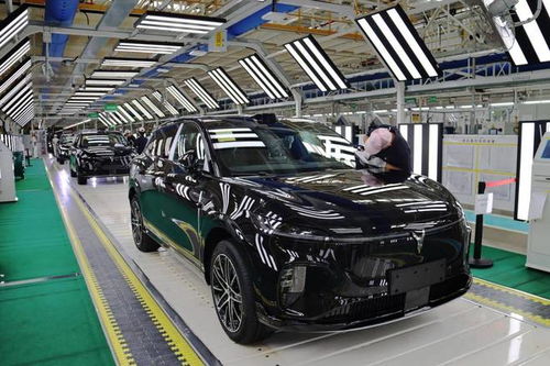 嵐圖汽車雙工廠火力全開，單日產能突破800輛，加速布局汽車市場